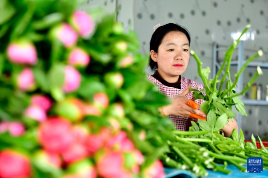 49ںʝжՅ^(q)(zhn)ˎrлa(chn)r(nng)ڴˎAӛ w z