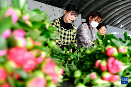 49ںʝжՅ^(q)(zhn)ˎrлa(chn)r(nng)ڴˎAӛ w z