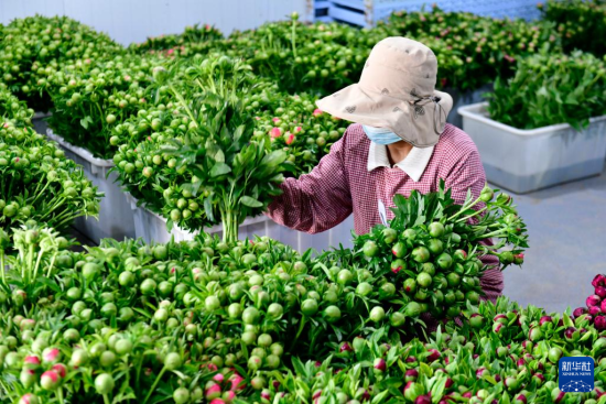 410ںʝ۲ǿh(zhn)ˎrлa(chn)r(nng)ˎAӛ w z