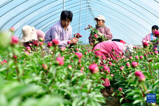 410ںʝ۲ǿh(zhn)ˎrлa(chn)r(nng)ڲժˎAӛ w z