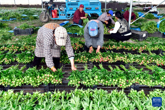 410ںʝ^(q)(zhn)ˎrлa(chn)r(nng)ˎAӛ w z