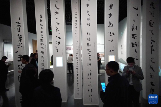 425˂څ^yȸɽhĻչAӛ L z