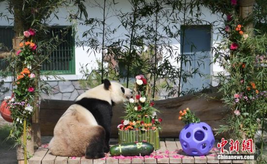 525(j)τ(dng)@؈żáմ͡(dng)ɽ|(j)τ(dng)@؈żӭ11q(dng)@żơ⡱c