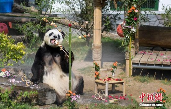 525(j)τ(dng)@؈żáմ͡(dng)գɽ|(j)τ(dng)@؈żӭ11q(dng)@żơ⡱c