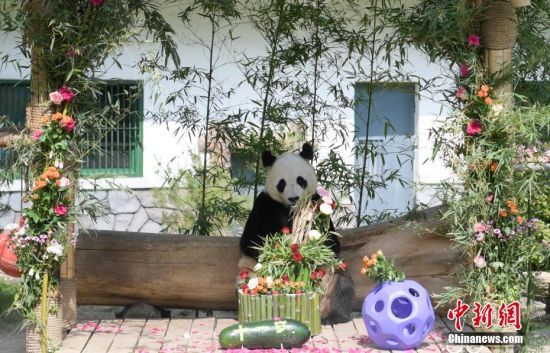 525(j)τ(dng)@؈żáմ͡(dng)գɽ|(j)τ(dng)@؈żӭ11q(dng)@żơ⡱c