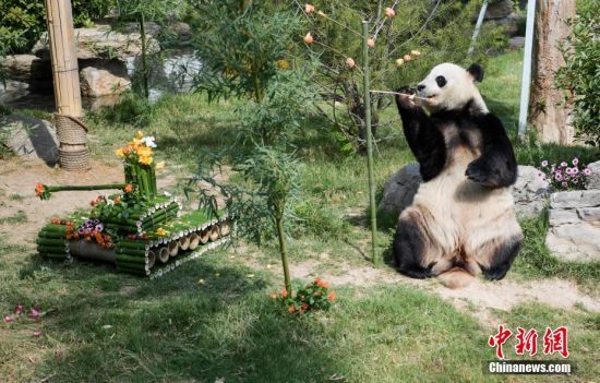 525(j)τ(dng)@؈żáմ͡(dng)ɽ|(j)τ(dng)@؈żӭ11q(dng)@żơ⡱c