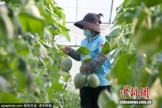 924ɽ|IλڞI(yng)ſh(yng)ֵF(xin)r(nng)I(y)a(chn)I(y)@(ni)Ĺܹӭ(li)ի@r(nng)ץr(nng)r(sh)_(ki)չr(nng)g^һɷæZ z