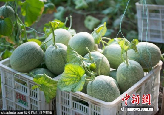 924ɽ|IλڞI(yng)ſh(yng)ֵF(xin)r(nng)I(y)a(chn)I(y)@(ni)Ĺܹӭ(li)ի@r(nng)ץr(nng)r(sh)_(ki)չr(nng)g^һɷæZ z