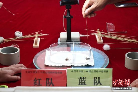 101ɽ|ʮȫ(gu)Ո(qng)ِ]Ļ(li)Ϻݡӱɽ|ȵص12֧(du)酢c(zhng)ԡx(chng)硱DِF(xin)(chng) z