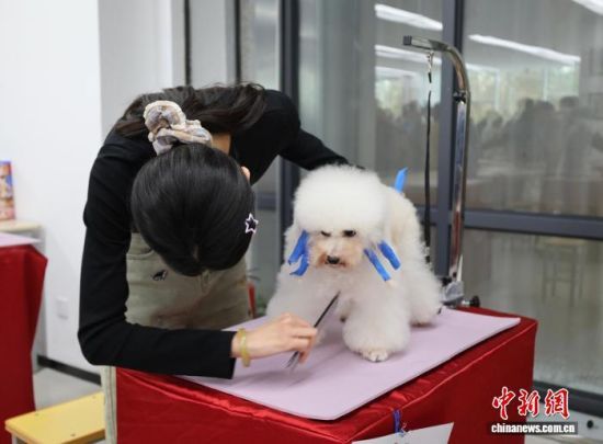 1023ɽ|׌áȪی{ɰ()oِܱ_ِԺ{ɰąِxւ@O(sh)Ӌ坍޼ȼչ_ӛ  z