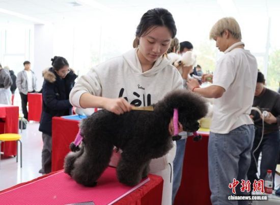 1023գɽ|׌áȪی{ɰ()oِܱ_ِԺ{ɰąِxւ@O(sh)Ӌ坍޼ȼչ_ӛ  z