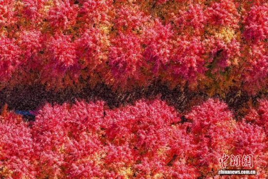 111ɽ|ʡuRǧtֱMȾD鮔(dng)?sh)ǧt(o˙C(j)Ƭ)M(jn) z 