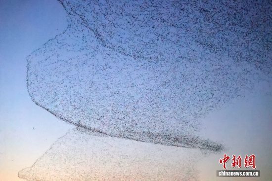 D/CNSphoto ܏VW(xu) z