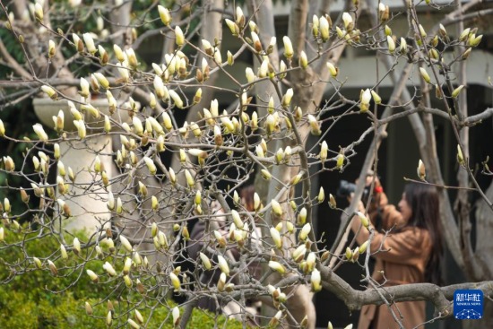 3��13�����˂��ڝ�(j��)���аٻ����@�^�p���m�������A��ӛ�� �����L �z