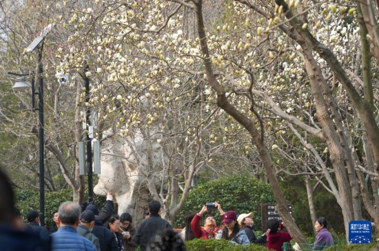 3��13�����˂��ڝ�(j��)���аٻ����@�^�p���m�������A��ӛ�� �����L �z