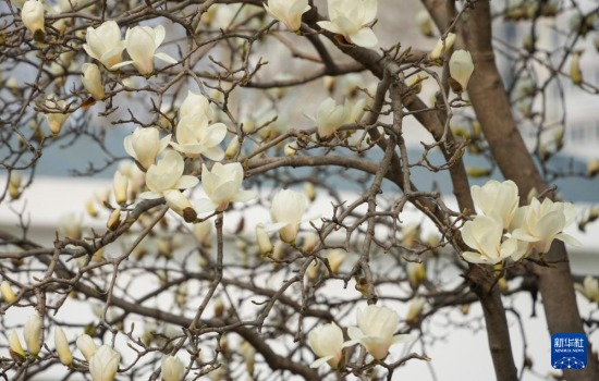 �@��3��13���ڝ�(j��)���аٻ����@�Ĕz�����m�������A��ӛ�� �����L �z