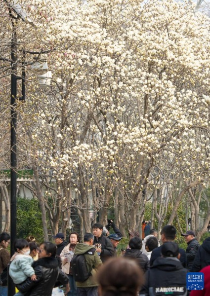 3��13�գ��˂��ڝ�(j��)���аٻ����@�^�p���m�������A��ӛ�� �����L �z