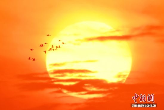 1022ɽ|uՕr(ji)ȺB輯uгꖅ^(q)׽ֵILһB(ti)DȺҰڼtgD/ҕXЇ