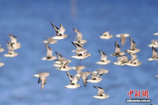 1022ɽ|uՕr(ji)ȺB輯uгꖅ^(q)׽ֵILһB(ti)DȺҰaںwD/ҕXЇ