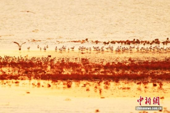 1022ɽ|uՕr(ji)ȺB輯uгꖅ^(q)׽ֵILһB(ti)DȺttȺBϢڼtD/ҕXЇ