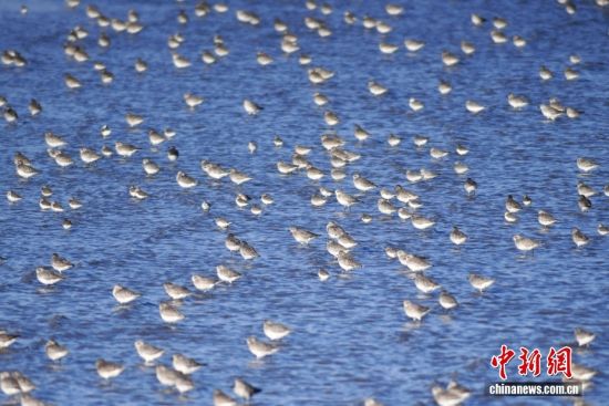 1022ɽ|uՕr(ji)ȺB輯uгꖅ^(q)׽ֵILһB(ti)DȺҰaڜ\ˮ^(q)ϢD/ҕXЇ