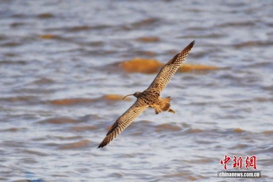 1022ɽ|uՕr(ji)ȺB輯uгꖅ^(q)׽ֵIأLһB(ti)DһֻںwD/ҕXЇ