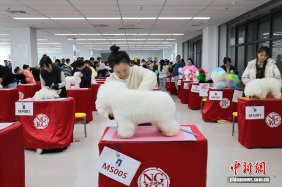 1023׌áȪی{ɰ()oِܱڝoI(y)WԺ_ِ z