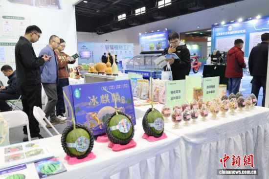 2025�Ї�(ɽ�|)�F(xi��n)����Ч�r(n��ng)�I(y��)�Ƽ����[��(hu��)26����ɽ�|��(j��)���_Ļ���O���� �z