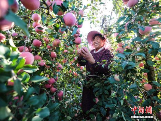 r(ji)ɽ|ʡsЂɽҼɭֹ@һ̎O@r(nng)æ֒OһɷæՈD(dng)?sh)Oa(chn)I(y)ʬF(xin)Ҏ(gu)l(f)չ(bio)(zhn)a(chn)C(j)еI(y)c(din)(yu)|(zh)ON(ni)ž z