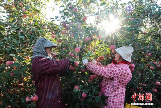 r(ji)ɽ|ʡsЂɽҼɭֹ@һ̎O@r(nng)æա֒OһɷæՈD(dng)?sh)Oa(chn)I(y)ʬF(xin)Ҏ(gu)ģl(f)չ(bio)(zhn)a(chn)C(j)еI(y)c(din)(yu)|(zh)ON(ni)ž z