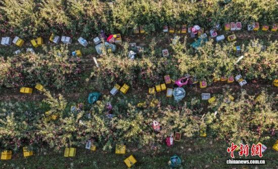 r(ji)ɽ|ʡsЂɽҼɭֹ@һ̎O@r(nng)æ֒OһɷæՈD(dng)?sh)Oa(chn)I(y)ʬF(xin)Ҏ(gu)l(f)չ(bio)(zhn)a(chn)C(j)еI(y)c(din)(yu)|(zh)ON(ni)ž z