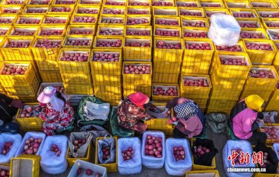 r(ji)ɽ|ʡsЂɽҼɭֹ@һ̎O@r(nng)æ֒OһɷæՈD(dng)?sh)Oa(chn)I(y)ʬF(xin)Ҏ(gu)l(f)չ(bio)(zhn)a(chn)C(j)еI(y)c(din)(yu)|(zh)ON(ni)⡣ž z