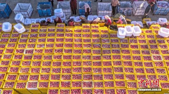 r(ji)ɽ|ʡsЂɽҼɭֹ@һ̎O@r(nng)æա֒OһɷæՈD(dng)?sh)Oa(chn)I(y)ʬF(xin)Ҏ(gu)l(f)չ(bio)(zhn)a(chn)C(j)еI(y)c(din)(yu)|(zh)ON(ni)⡣ž z