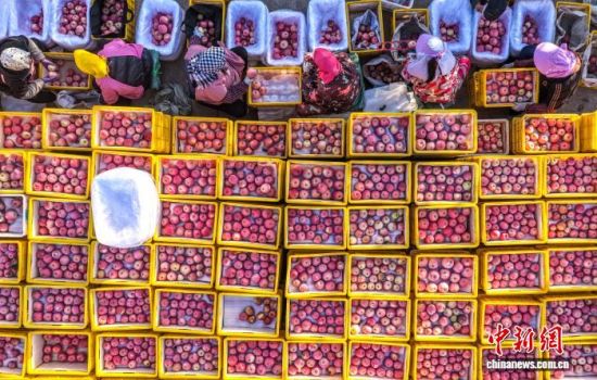 r(ji)ɽ|ʡsЂɽҼɭֹ@һ̎O@r(nng)æա֒OһɷæՈD(dng)?sh)Oa(chn)I(y)ʬF(xin)Ҏ(gu)l(f)չ(bio)(zhn)a(chn)C(j)еI(y)c(din)(yu)|(zh)ON(ni)ž z