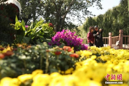 YψDЇ(gu)y(tng)(ji)(yng)(ji)ڱ@^pջӛ  z