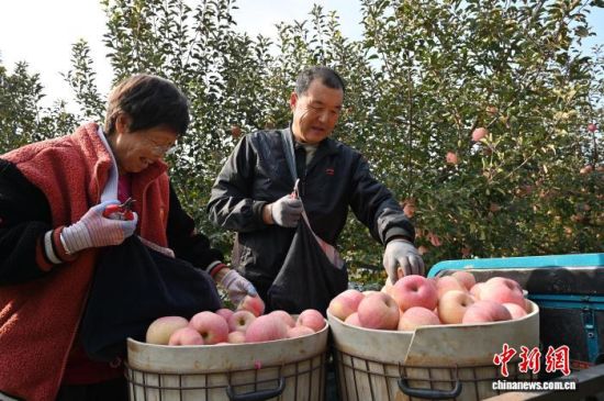 1029ЇO֮ɽ|_ϼеĹ@tͮͮOYM֦^r(nng)æժ֒b\O10ѮԁЇOa(chn)^(q)_ϼӭһ۵ĲռOm(x)M(jn)ĿǰϼOe_(d)100fN60Һ͵؅^(q)J z