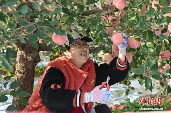 1029ЇO֮ɽ|_ϼеĹ@tͮͮOYM֦^r(nng)æժ֒b\O10ѮԁЇOa(chn)^(q)_ϼӭһ۵ĲռOm(x)M(jn)ĿǰϼOe_(d)100fN60Һ͵؅^(q)J z