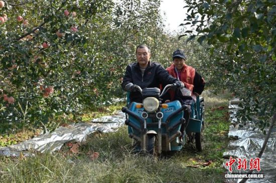 1029գЇO֮ɽ|_ϼеĹ@tͮͮOYM֦^r(nng)æժ֒b\O10ѮԁЇOa(chn)^(q)_ϼӭһ۵ĲռOm(x)M(jn)ĿǰϼOe_(d)100fN60Һ͵؅^(q)J z