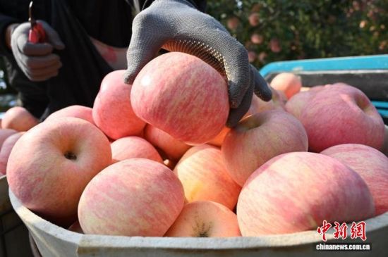 1029ЇO֮ɽ|_ϼеĹ@tͮͮOYM֦^r(nng)æժ֒b\O10ѮԁЇOa(chn)^(q)_ϼӭһ۵ĲռOm(x)M(jn)ĿǰϼOe_(d)100fN60Һ͵؅^(q)J z