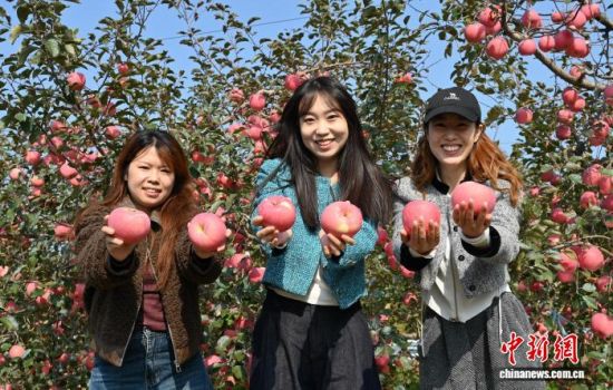 1029ЇO֮ɽ|_ϼеĹ@tͮͮOYM֦^r(nng)æժ֒b\O10ѮԁЇOa(chn)^(q)_ϼӭһ۵ĲռOm(x)M(jn)ĿǰϼOe_(d)100fN60Һ͵؅^(q)J z