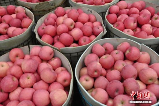 1029ЇO֮ɽ|_ϼеĹ@tͮͮOYM֦^r(nng)æժ֒b\O10ѮԁЇOa(chn)^(q)_ϼӭһ۵ĲռOm(x)M(jn)ڡĿǰϼOe_(d)100fN60Һ͵؅^(q)J z