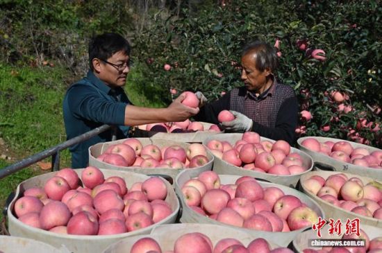 1029ЇO֮ɽ|_ϼеĹ@tͮͮOYM֦^r(nng)æժ֒b\O10ѮԁЇOa(chn)^(q)_ϼӭһ۵ĲռOm(x)M(jn)ĿǰϼOe_(d)100fN60Һ͵؅^(q)J z