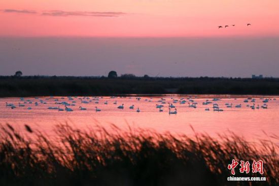 �ږ|�I�S���������һȺ���Z��Ϧ���ϢҒʳ��(�Y�ψD)���� �z