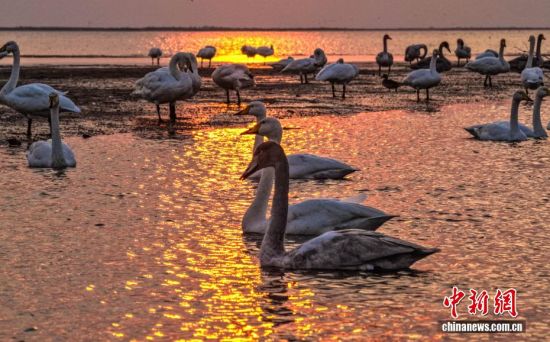 ˪r(ji)ɽ|sɴZҼȻo(h)^(q)ӭwԽġѡȺY(ji)꠵ĴZwZ_Խ֮`ӵӰcӳȤɞBw·ϳMC(j)B(ti)L(fng)o˙C(j)Ƭž z