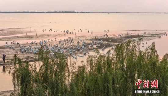 ˪r(ji)ɽ|sɴZҼȻo(h)^(q)ӭwԽġѡȺY(ji)꠵ĴZwZ_Խ֮`ӵӰcӳȤɞBw·ϳMC(j)B(ti)L(fng)o˙C(j)Ƭž z