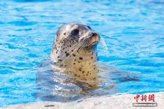 113ϰuOغ󹫈@ߺоʽDă(ni)İߺ(kD)