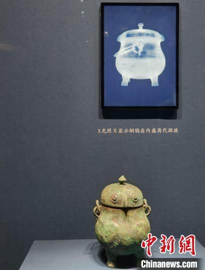 �D���̴��~�^����X����Ƭ�@ʾ���ʢ��Һ���w�� �z