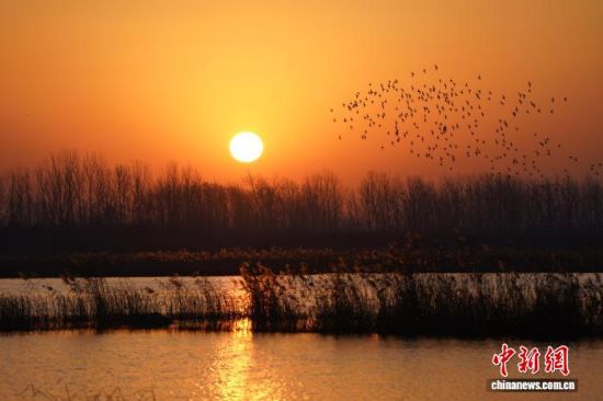 �ճ��r(sh��)�����ʝ��о�Ұ�h�����(zh��n)������ع��@���沨�����ԣ��w�B��Ⱥ�Y(ji��)�(du��)��� �z