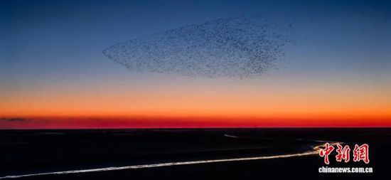 �D��ɽ�|�|�I�S�������އ��Ҽ���Ȼ���o(h��)�^(q��)�ġ��B�ˡ����^����� �z