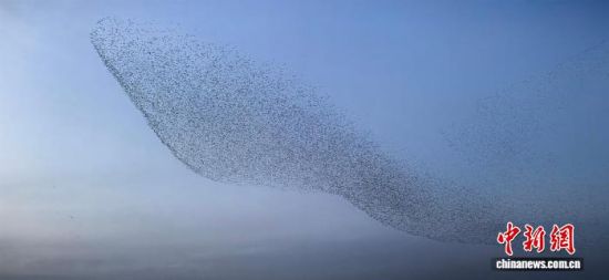 �D��ɽ�|�|�I�S�������އ��Ҽ���Ȼ���o(h��)�^(q��)�ġ��B�ˡ����^����� �z